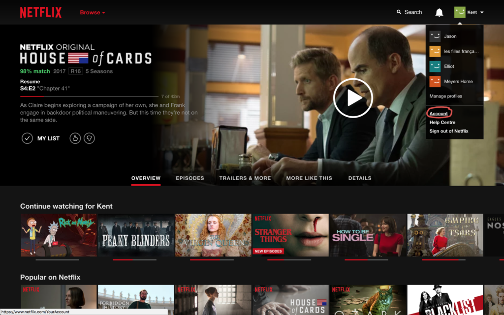 Picture of the Netflix main menu, with a circle around 'account'